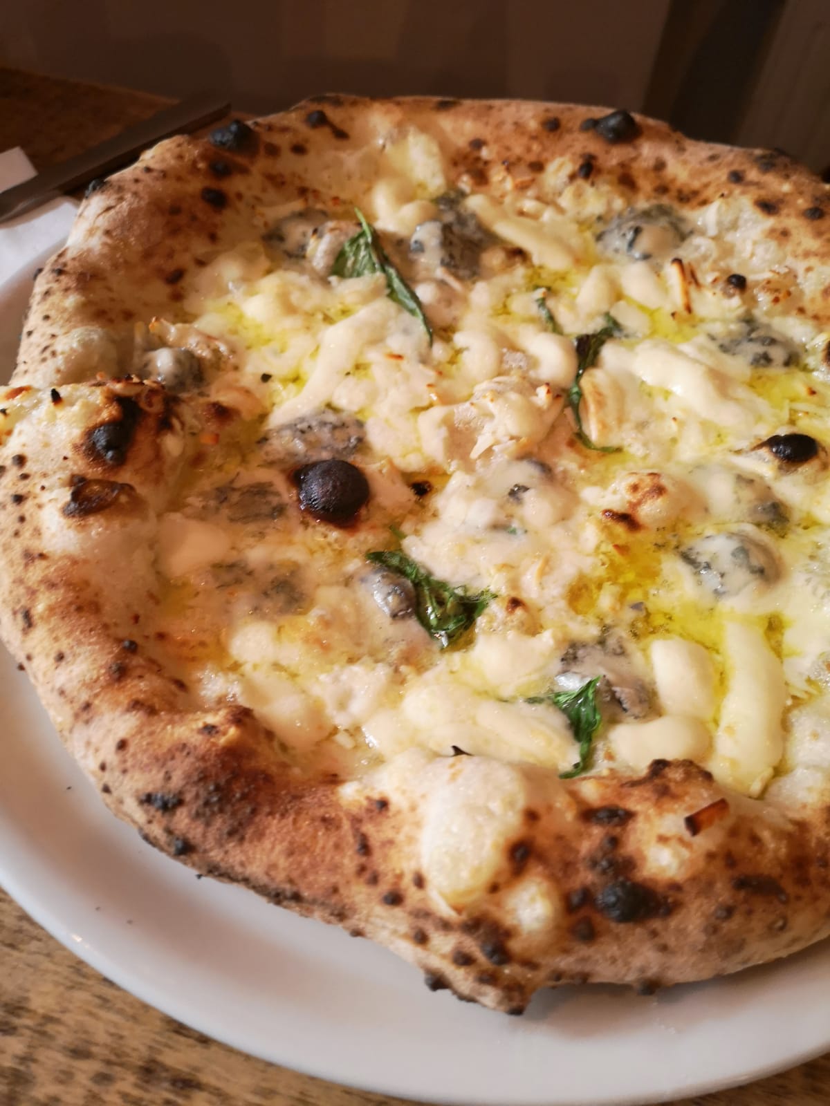 Futura Pizza 5 formaggi 2