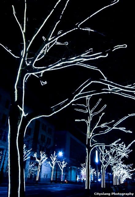 dsc_unter_den_linden_0034