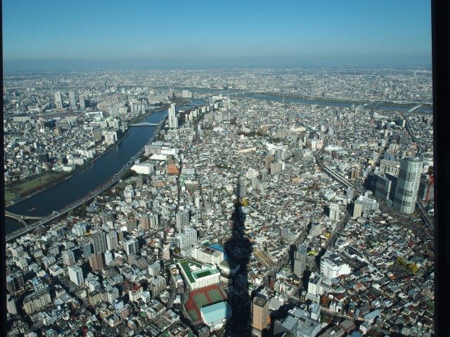 Lunch View from Tokyo Tower