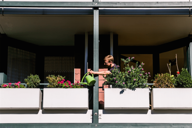 nebenan_Blumen_gießen BERLIN LOVES YOU Blog