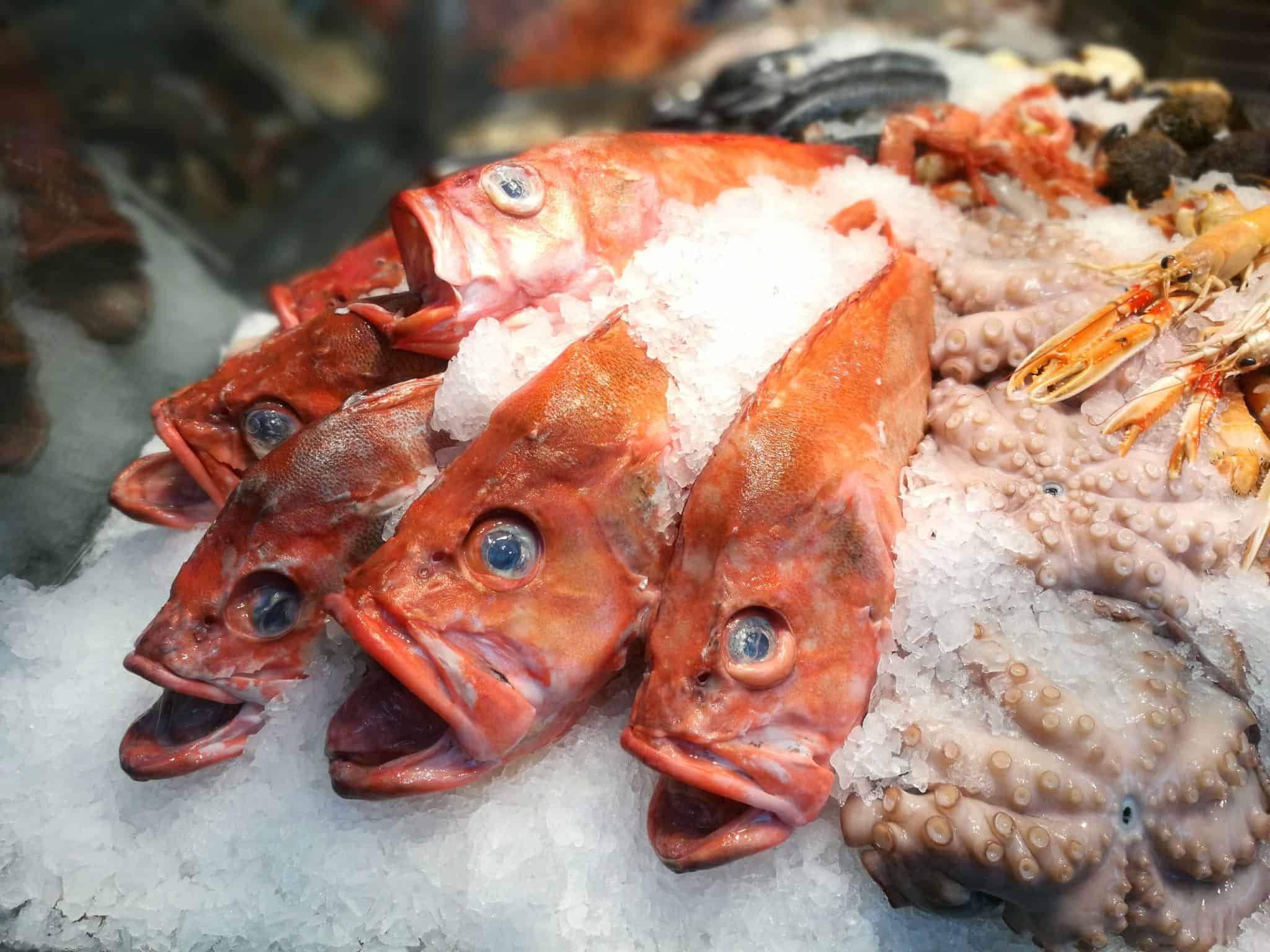 Berlin Loves You Huawei P9 Plus Copenhagen Fish
