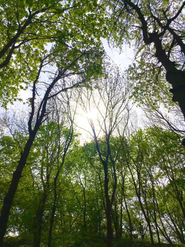 Somewhere In The Distance Summer Rave