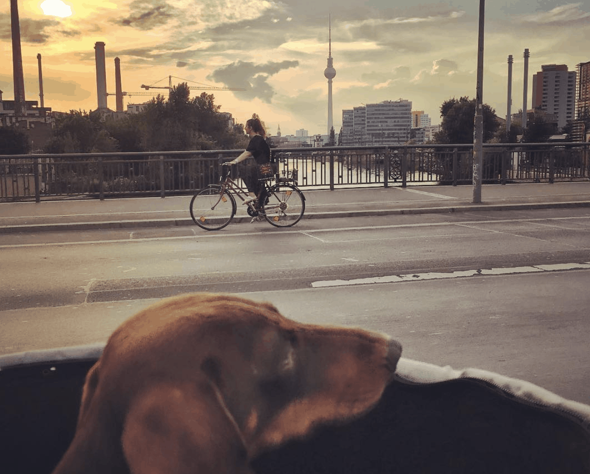 feature-berlinbike