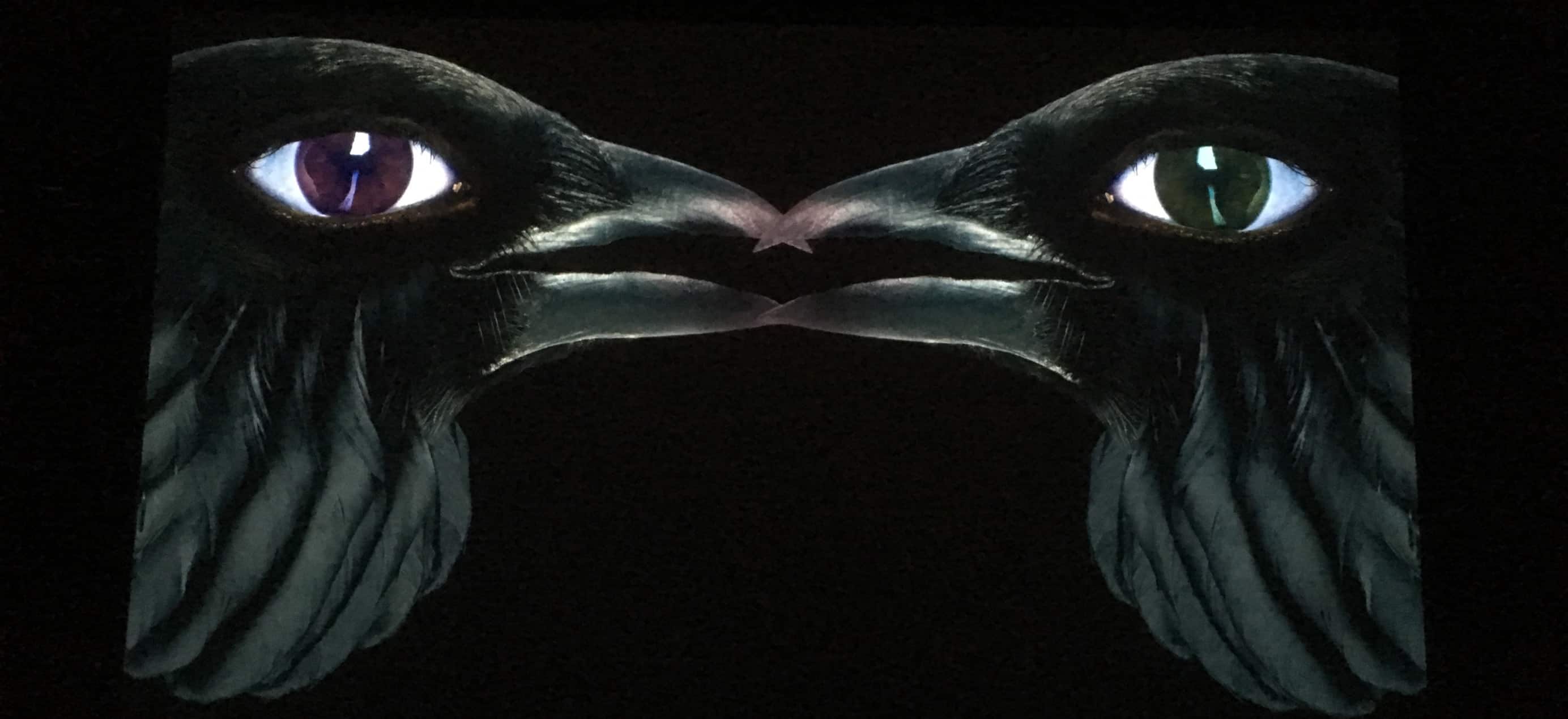 Crows-the-demons-brain-agnieszka-polska