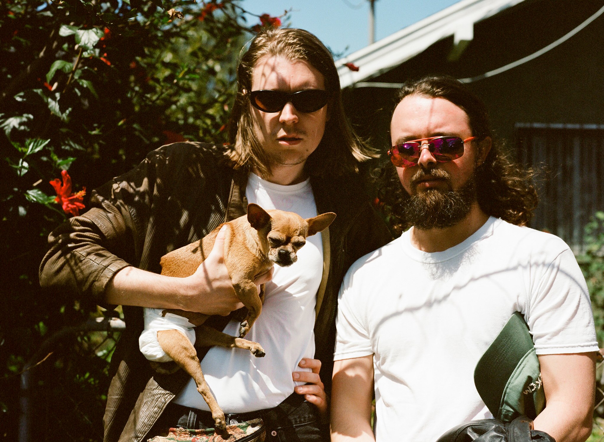 alex cameron 2