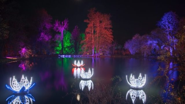 weihnachten-im-tierpark-2-750×422
